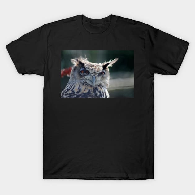 Eagle Owl T-Shirt by Ladymoose